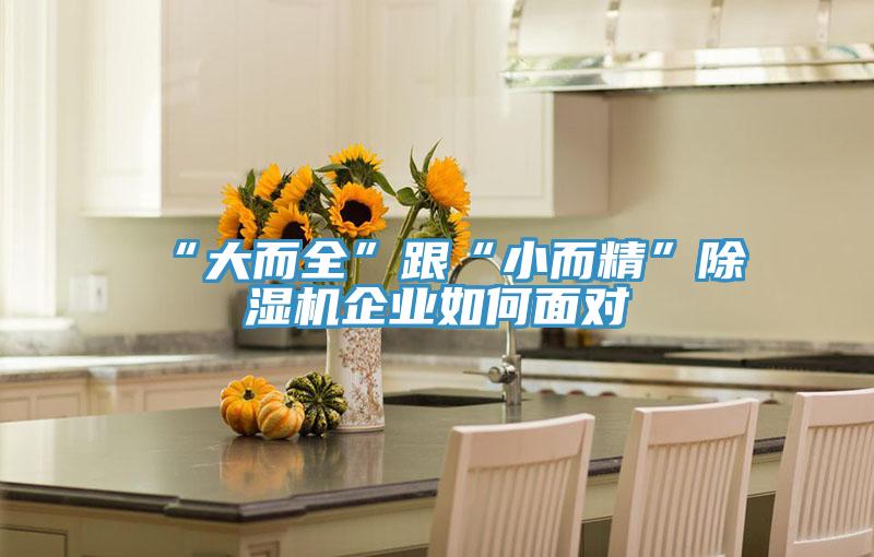 “大而全”跟“小而精”除濕機企業如何面對