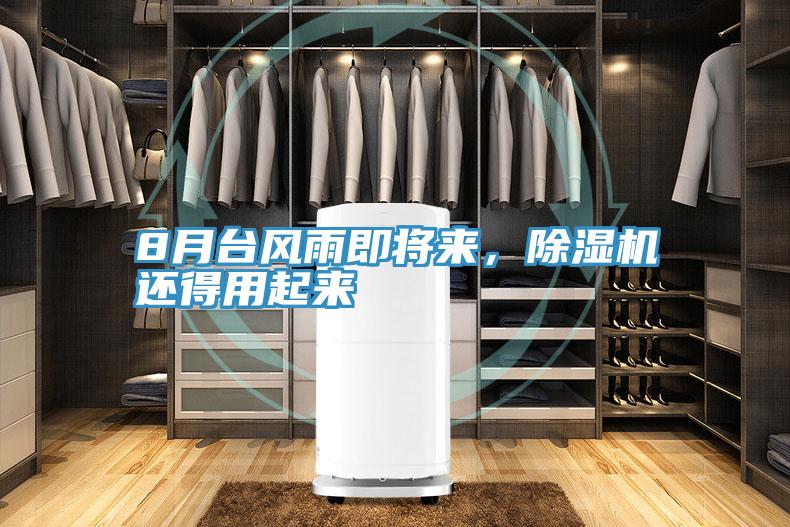 8月臺風(fēng)雨即將來，除濕機(jī)還得用起來