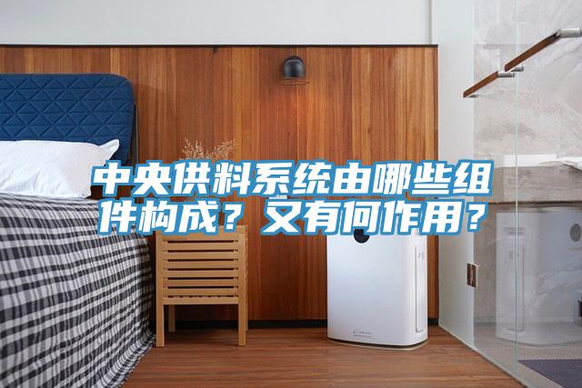 中央供料系統由哪些組件構成？又有何作用？