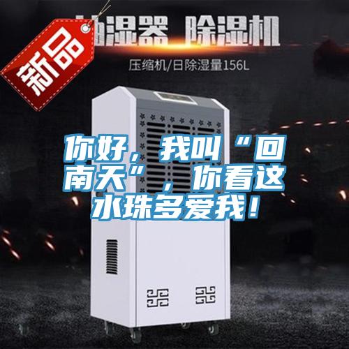 你好，我叫“回南天”，你看這水珠多愛我！
