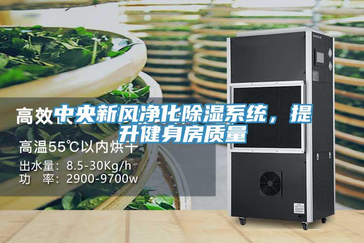 中央新風凈化除濕系統,提升健身房質量