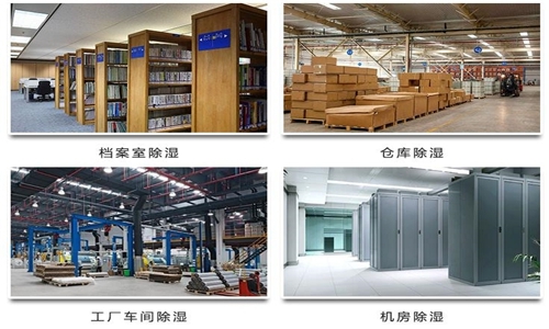 為什么竹筍烘干房需要除濕機？