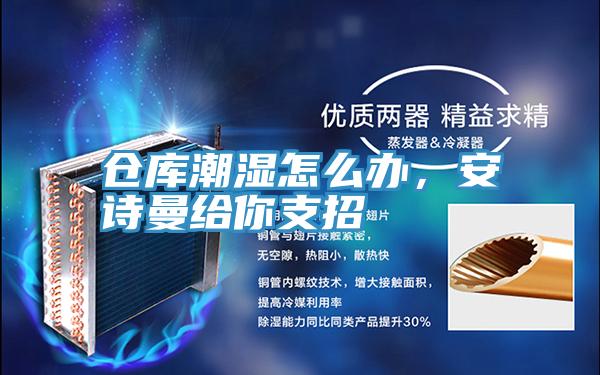 倉庫潮濕怎么辦,安詩曼給你支招