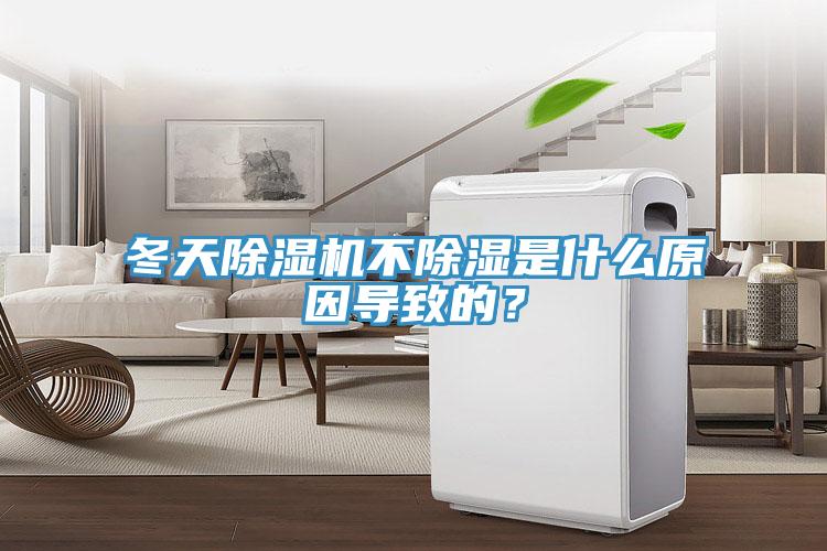 冬天除濕機(jī)不除濕是什么原因?qū)е碌模?></div>
								<div   id=