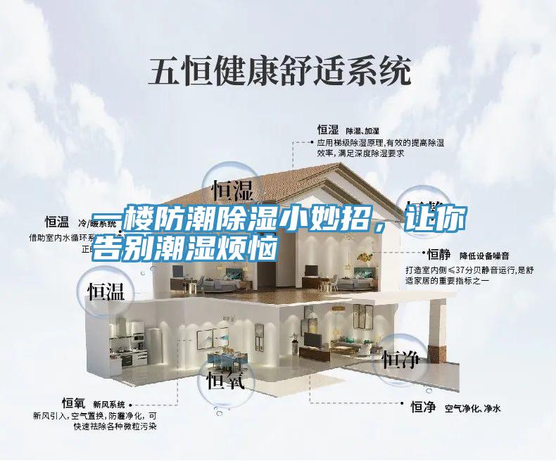 一樓防潮除濕小妙招,讓你告別潮濕煩惱