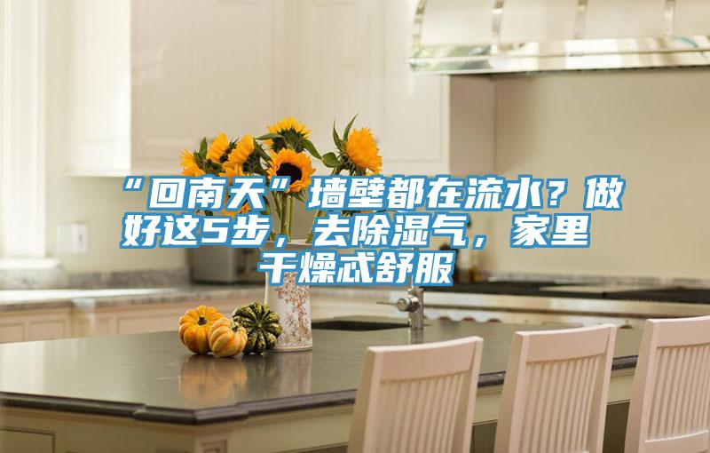 “回南天”墻壁都在流水？做好這5步，去除濕氣，家里干燥忒舒服