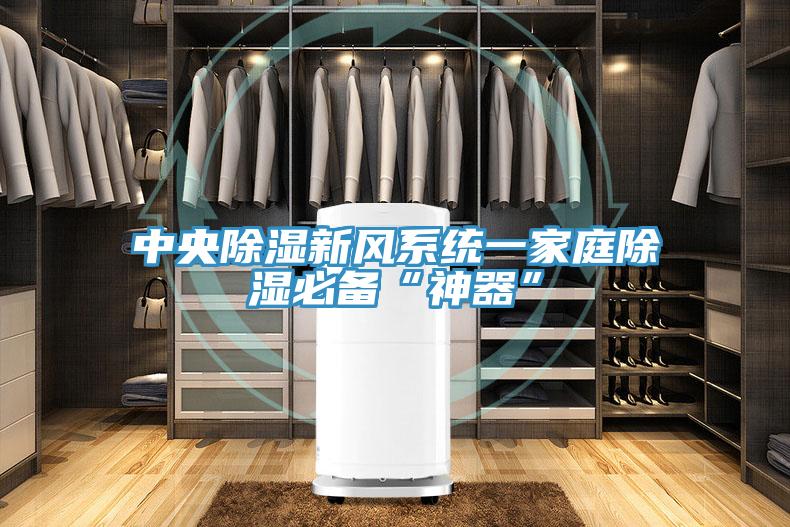 中央除濕新風系統一家庭除濕必備“神器”