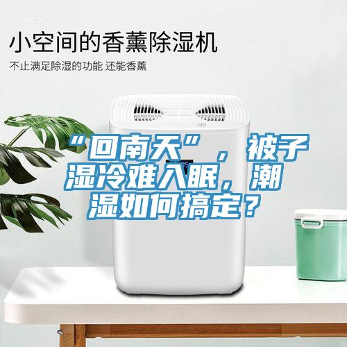 “回南天”,被子濕冷難入眠,潮濕如何搞定?