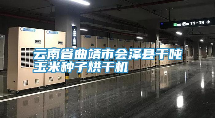 云南省曲靖市會澤縣千噸玉米種子烘干機
