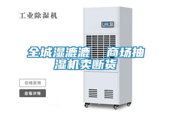 全城濕漉漉  商場(chǎng)抽濕機(jī)賣斷貨