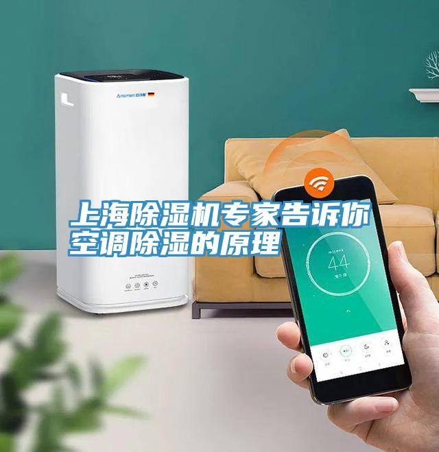 上海除濕機專家告訴你空調除濕的原理