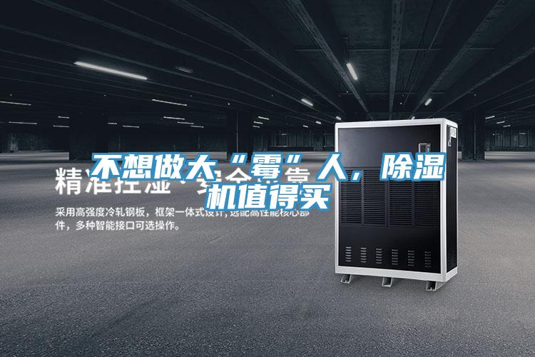不想做大“霉”人,除濕機值得買