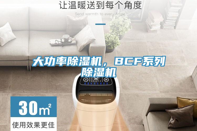 大功率除濕機，BCF系列除濕機
