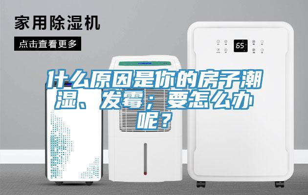 什么原因是你的房子潮濕、發霉；要怎么辦呢？
