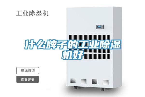 什么牌子的工業除濕機好