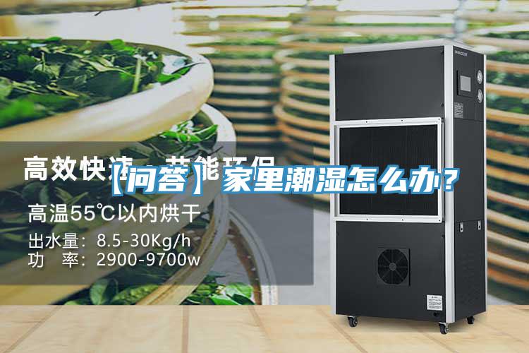 【問答】家里潮濕怎么辦？