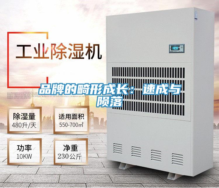 品牌的畸形成長:速成與隕落