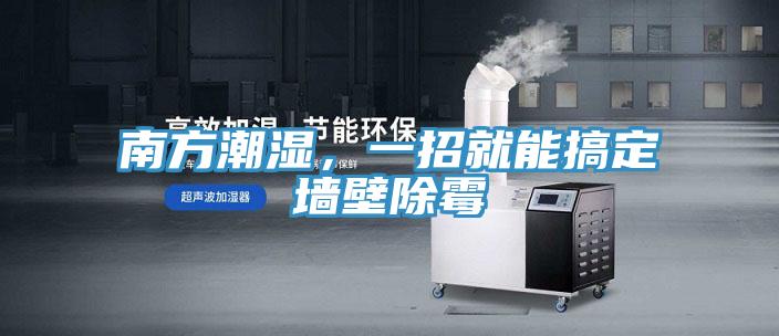 南方潮濕,一招就能搞定墻壁除霉