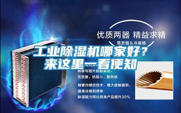 工業除濕機哪家好？來這里一看便知