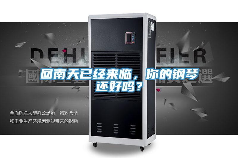 回南天已經來臨,你的鋼琴還好嗎?