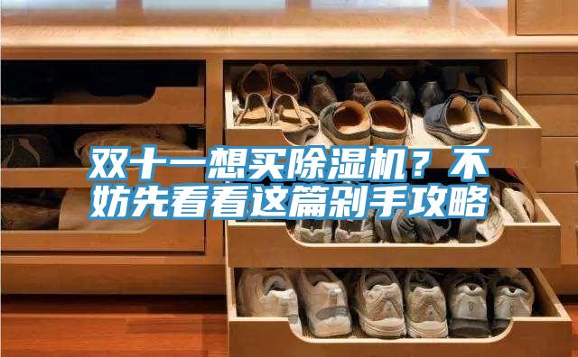 雙十一想買除濕機？不妨先看看這篇剁手攻略