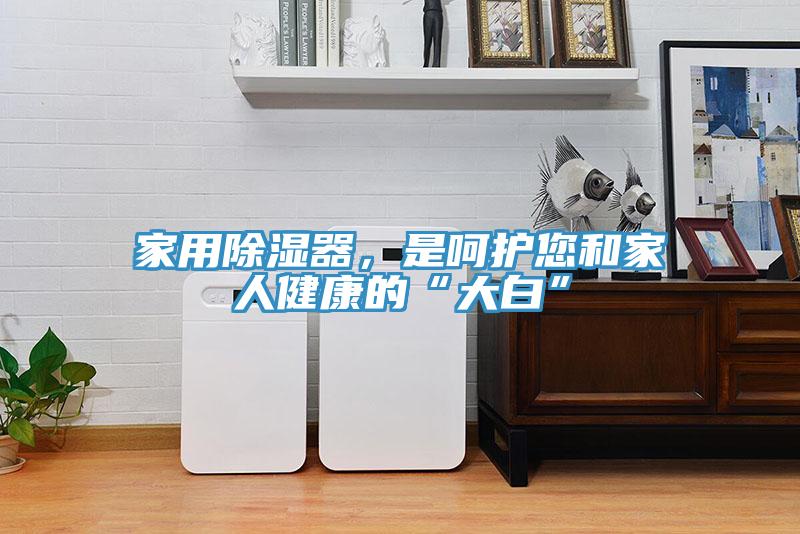 家用除濕器,是呵護您和家人健康的“大白”