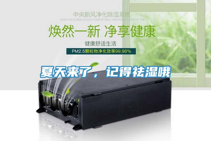 夏天來了,記得祛濕哦