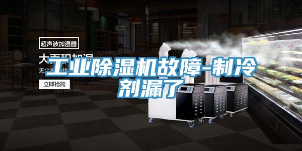 工業除濕機故障-制冷劑漏了