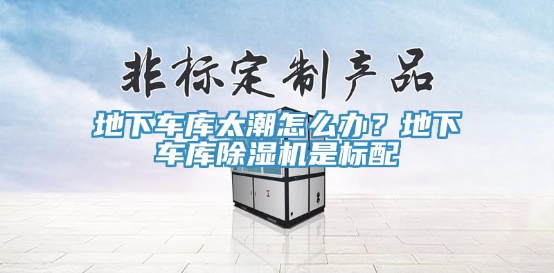 地下車庫太潮怎么辦?地下車庫除濕機是標配