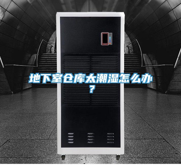 地下室倉(cāng)庫(kù)太潮濕怎么辦？