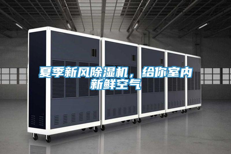 夏季新風除濕機，給你室內新鮮空氣