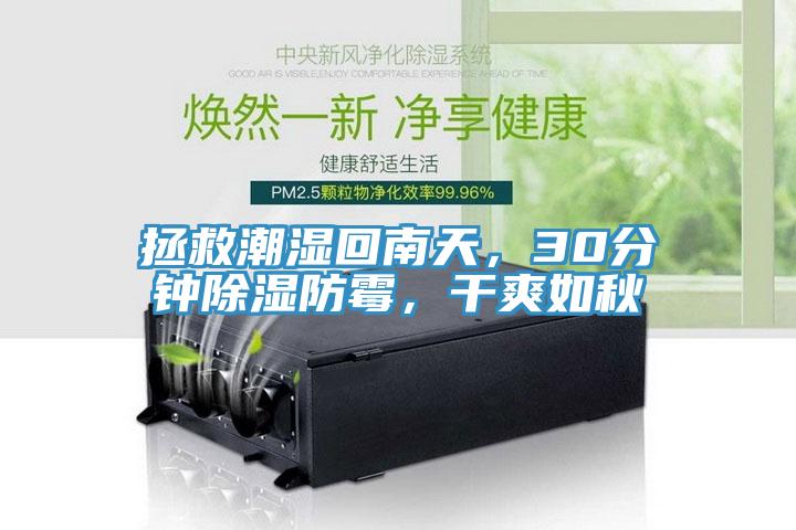 拯救潮濕回南天，30分鐘除濕防霉，干爽如秋