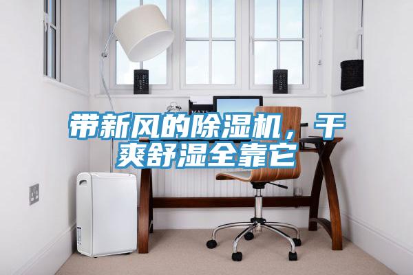 帶新風的除濕機，干爽舒濕全靠它