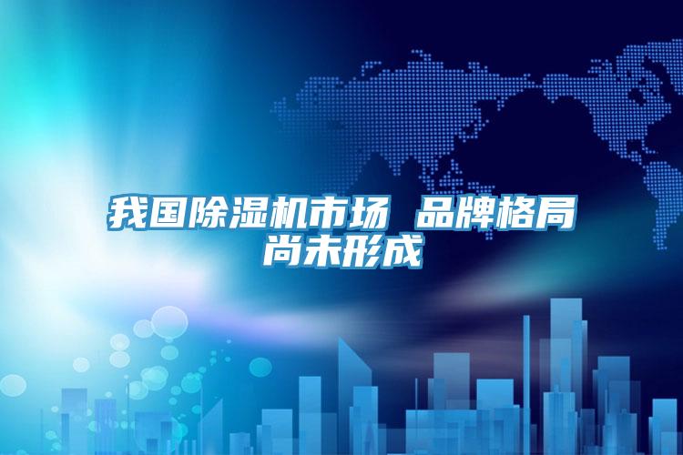 我國除濕機市場 品牌格局尚未形成