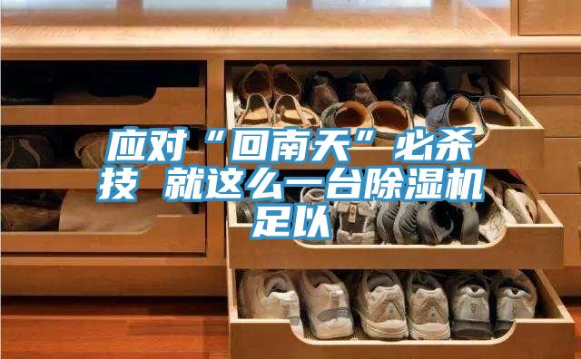 應對“回南天”必殺技 就這么一臺除濕機足以