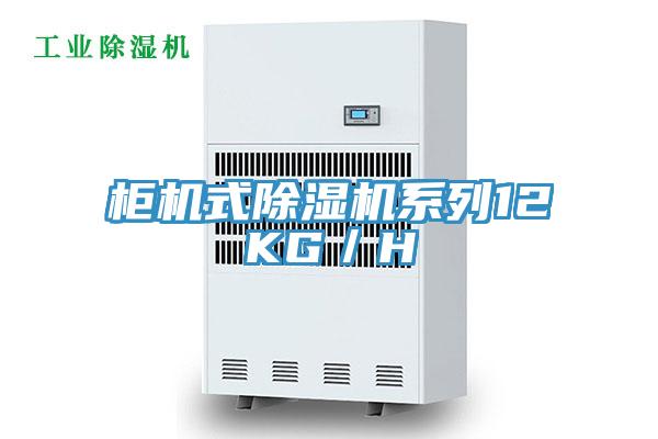 柜機式除濕機系列12KG/H