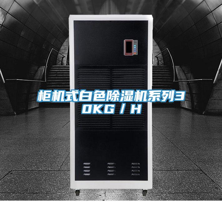 柜機式白色除濕機系列30KG/H