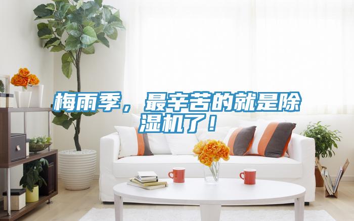 梅雨季,最辛苦的就是除濕機了!