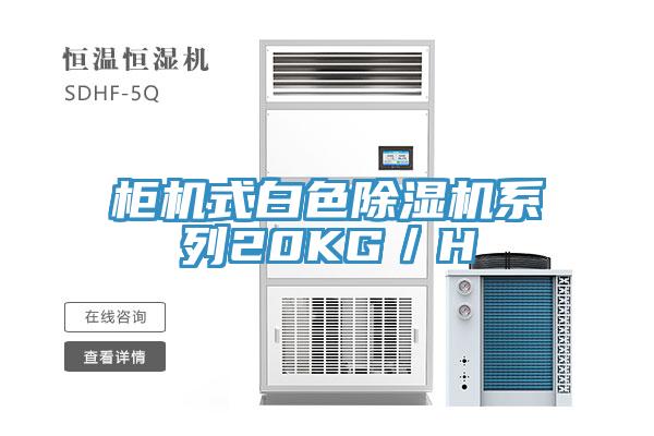 柜機式白色除濕機系列20KG/H