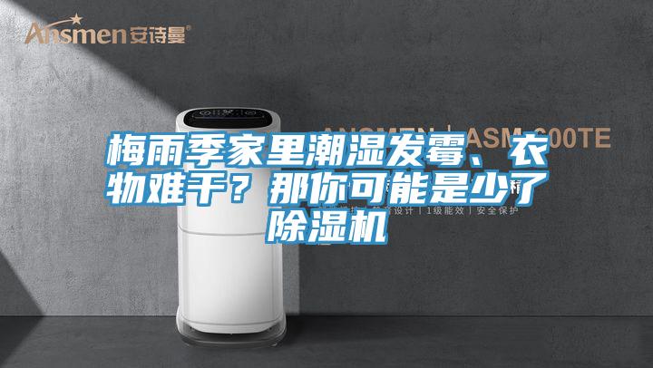 梅雨季家里潮濕發霉、衣物難干？那你可能是少了除濕機