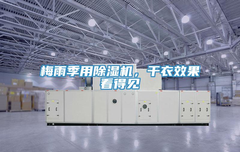 梅雨季用除濕機(jī),干衣效果看得見