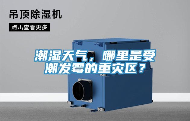 潮濕天氣，哪里是受潮發(fā)霉的重災(zāi)區(qū)？