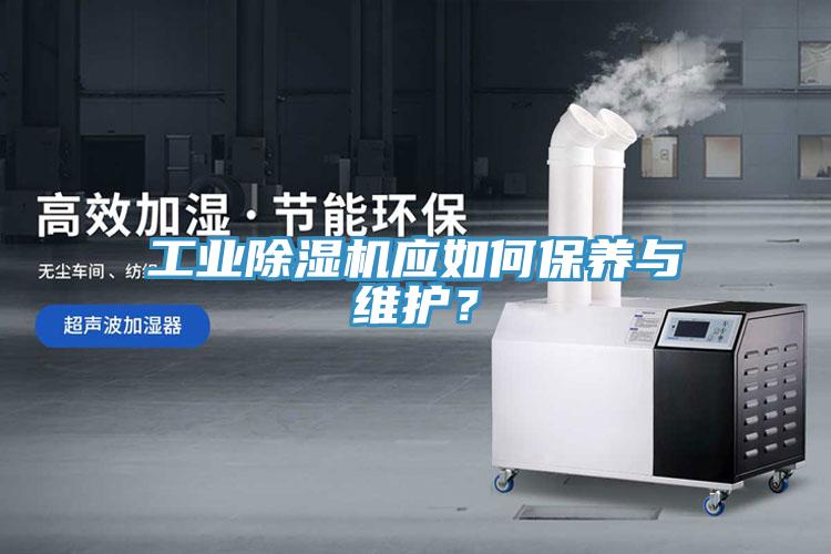 工業除濕機應如何保養與維護？