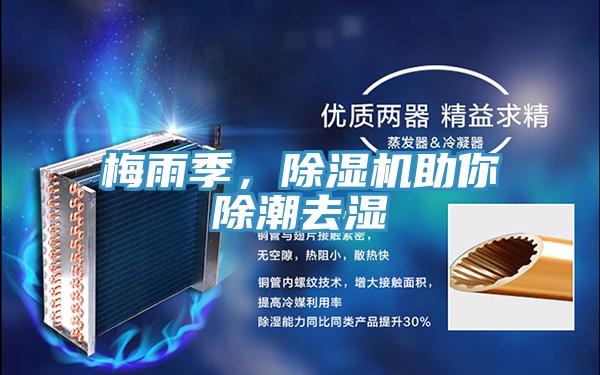 梅雨季,除濕機助你除潮去濕