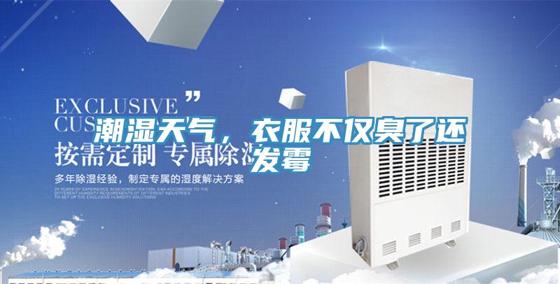 潮濕天氣，衣服不僅臭了還發(fā)霉