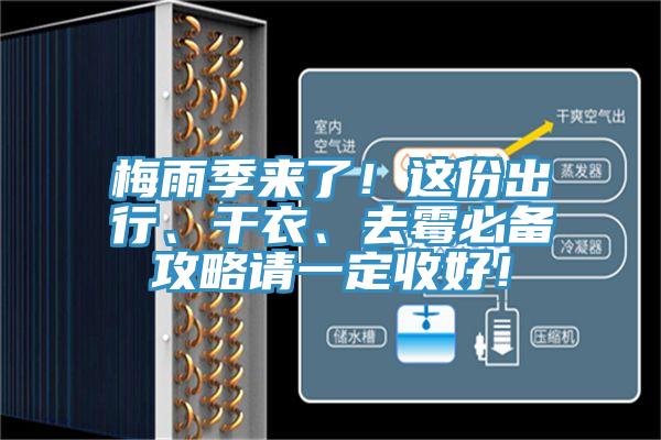 梅雨季來了!這份出行、干衣、去霉必備攻略請一定收好!