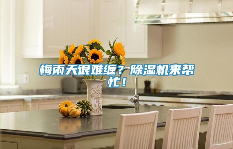 梅雨天很難纏?除濕機來幫忙!
