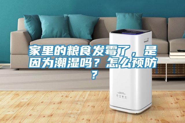 家里的糧食發(fā)霉了,是因為潮濕嗎?怎么預(yù)防?