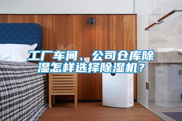 工廠車間、公司倉庫除濕怎樣選擇除濕機？