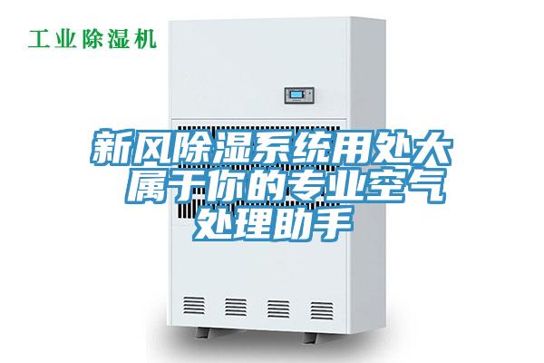 新風除濕系統用處大 屬于你的專業空氣處理助手